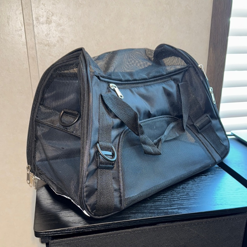 Black Mesh Small Pet Carrier
